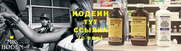 шишки Сосновоборск