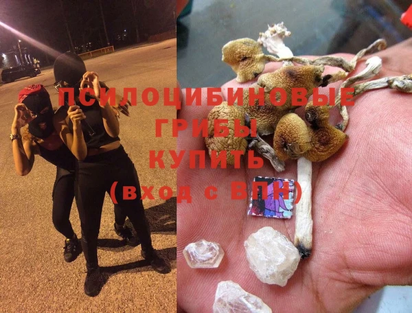 дмт Алзамай