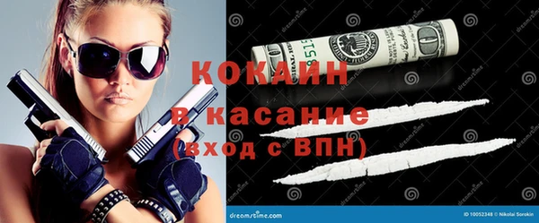 дмт Алзамай