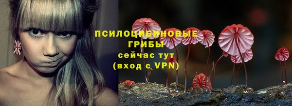 дживик Алексеевка