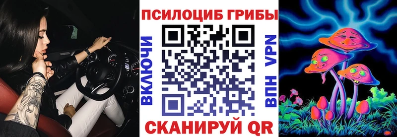 наркошоп  Асино  МЕГА зеркало  Псилоцибиновые грибы Psilocybine cubensis 