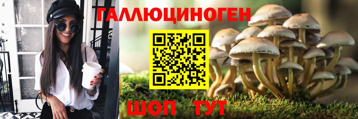 Галлюциногенные грибы Psilocybe  Вход с VPN  Псилоцибиновые грибы Cubensis  Асино 