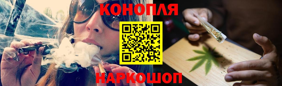 Канабис сатива Асино